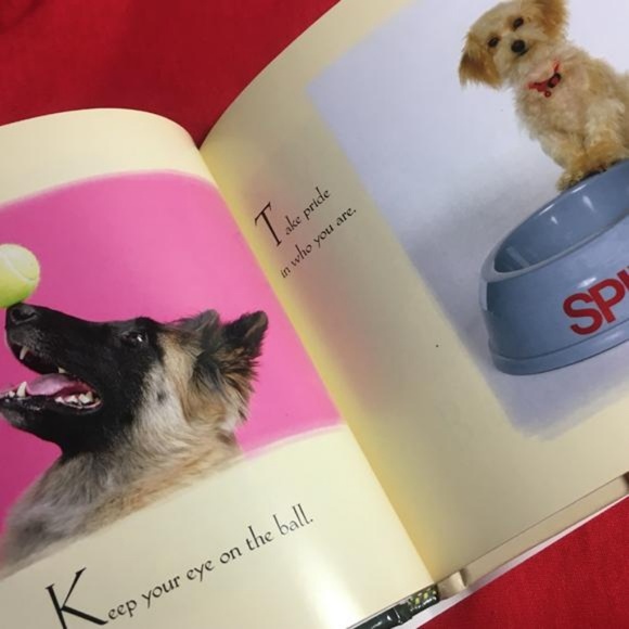 What Dogs Teach Us II Coffee Table Book - Picture 2 of 7